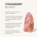 Catena Strawberry Quartz Bracelet Watch
